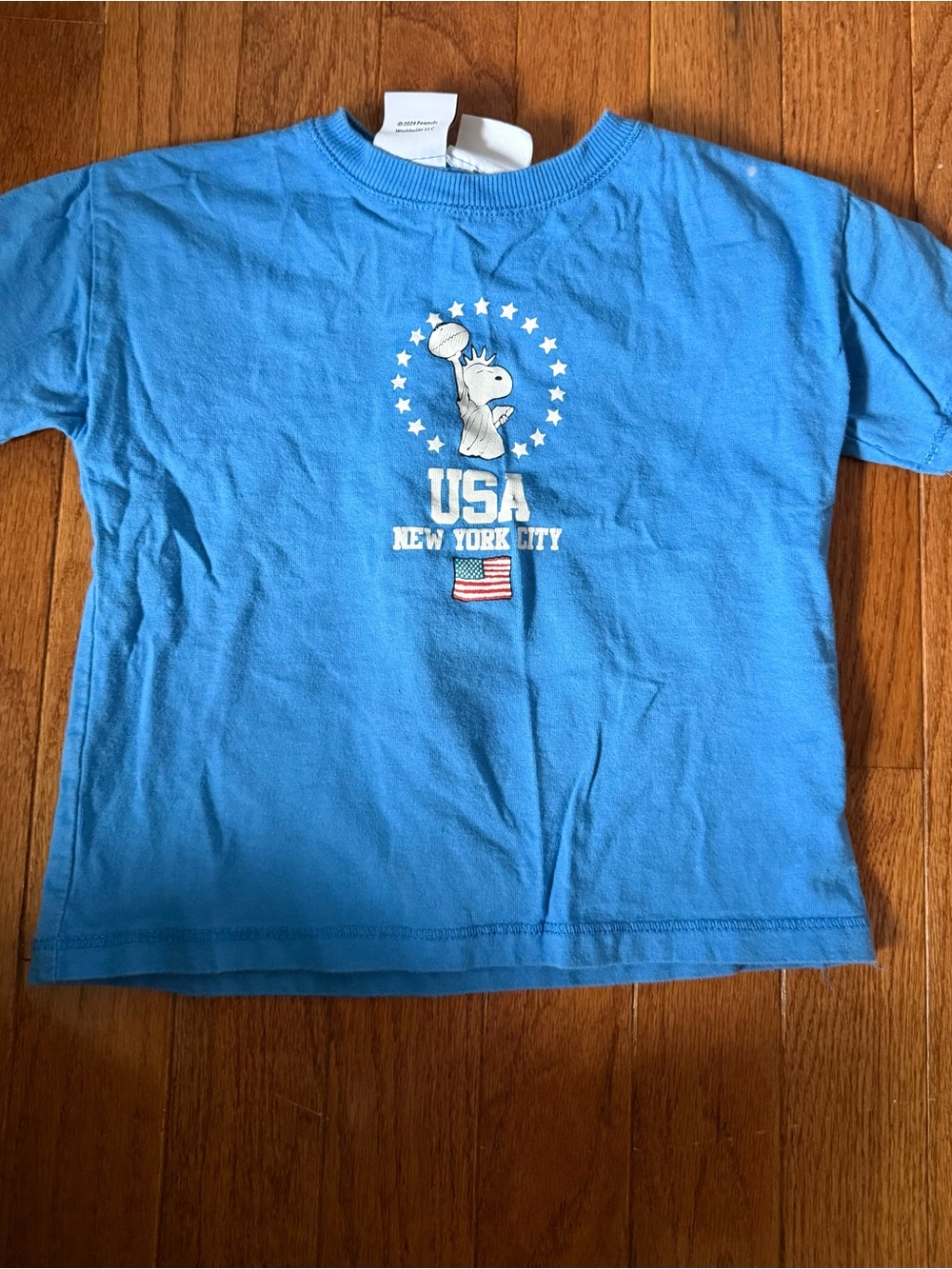Peanuts Blue USA New York City Graphic Tee